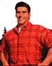 brawny